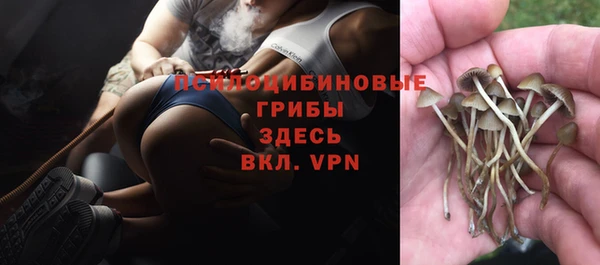прущая мука Балабаново