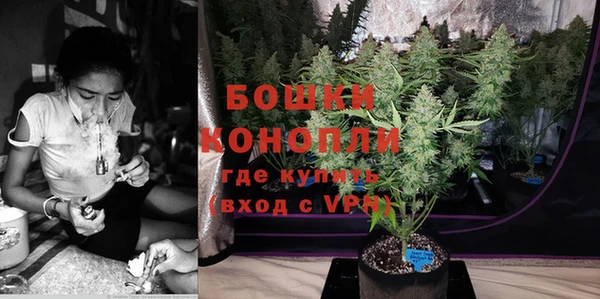 ПСИЛОЦИБИНОВЫЕ ГРИБЫ Баксан