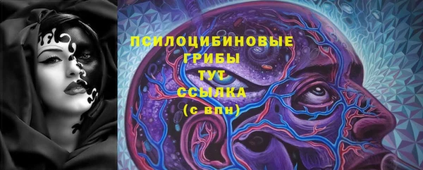 ПСИЛОЦИБИНОВЫЕ ГРИБЫ Баксан